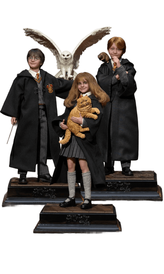 1:6 Harry Potter Set (C-Type)
